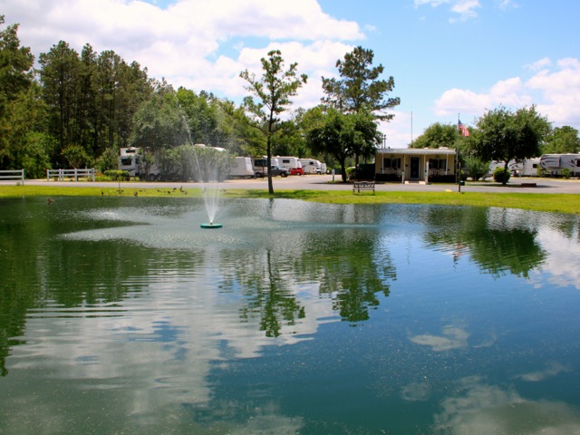 Woodland Lakes RV Park had 3 large ponds, this being the front pond.
